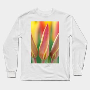 Tulipa clusiana var. chrysantha  AGM  Golden lady tulip Long Sleeve T-Shirt